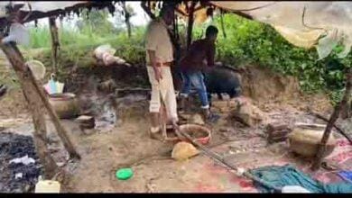 1721921740 151064f468a1c420e009