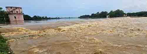शिवनाथ नदी के महमरा एनीकट के ऊपर 10 फीट पानी