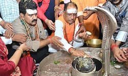 1722833681 59ad20bfdc1b65d65364