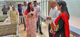 कलेक्टर सुश्री चौधरी ने की बीज प्रगुणन प्रक्षेत्र और एस.जे. फार्म का निरीक्षण (5)
