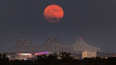 3qi3ijg large 625x300 20 August 24.jpg