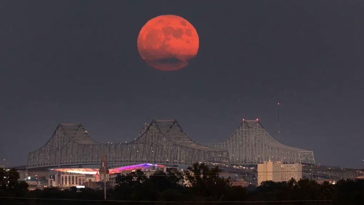 3qi3ijg large 625x300 20 August 24.jpg