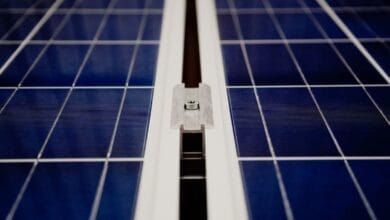 75o8nae large 625x300 23 August 24.jpg