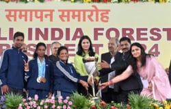 1729438496 3c6ce6ae676e607f7846 250x159.jpeg