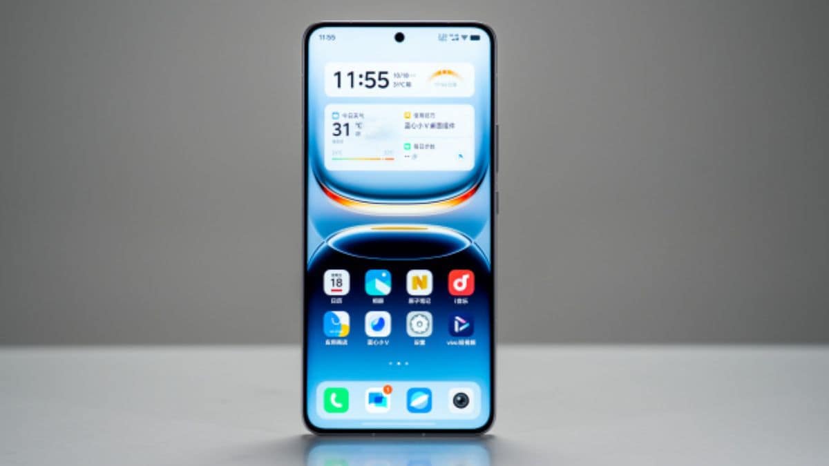 1729500608 dhrh81s large 625x300 18 October 24.jpg