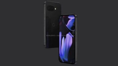 17rt3pa large 625x300 30 October 24.jpg