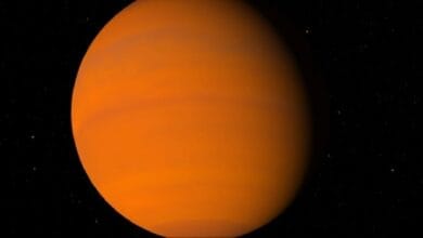 32trk59 large 625x300 16 May 24.jpg