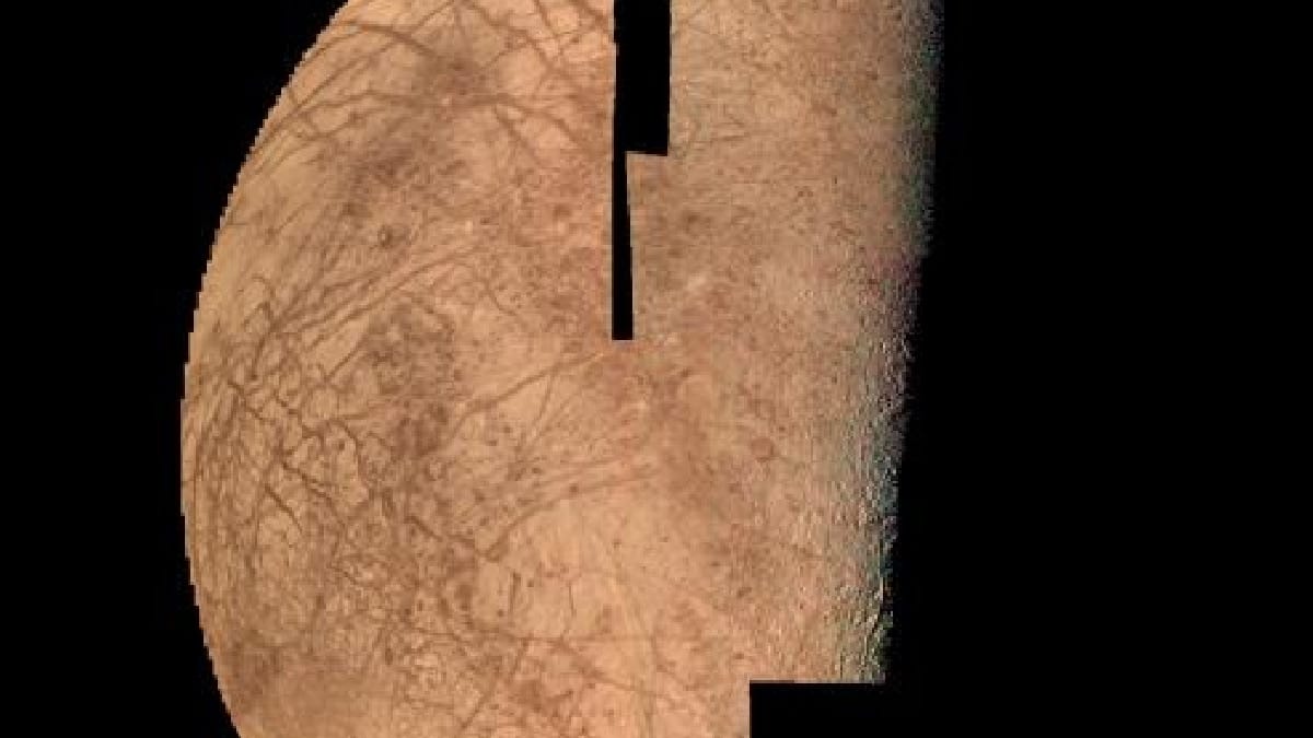 7agk7omo large 625x300 12 April 24.jpg