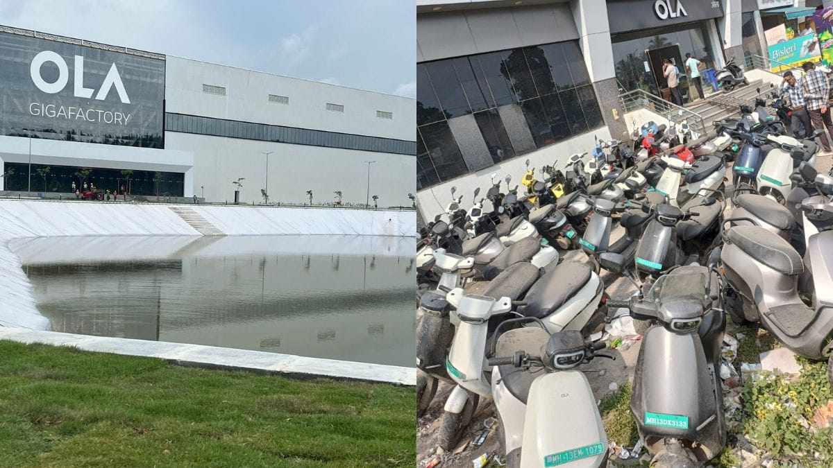 8oboogd large 625x300 07 October 24.jpg