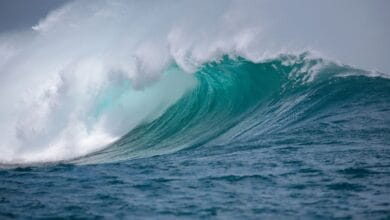 Cg12gql large 625x300 09 October 24.jpg