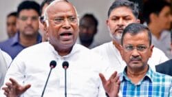 Congressaap 250x141.jpeg