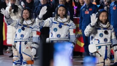 F7nm6bo8 large 625x300 31 October 24.jpg