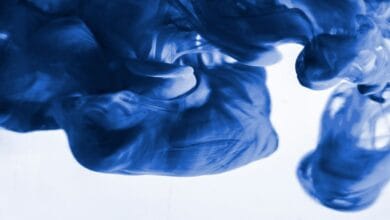 T2cjkse8 large 625x300 31 October 24.jpg