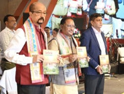 1730822962 e1c1600e2c9a1058e11a 250x189.jpeg