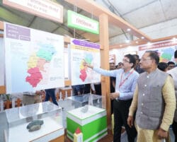 1730900972 24db699410972898c985 250x201.jpeg