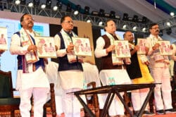 1731674985 daff954870c5714499b4 250x166.jpeg