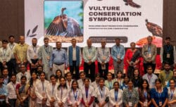 1731767767 0a04bf3fae48a5055bed 250x152.jpg