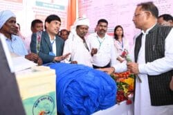 1732021429 26b0c7e1e2be1d2cf5da 250x166.jpeg