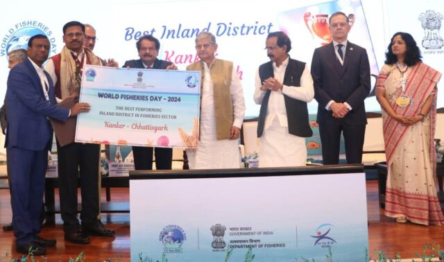 1732205300_5460156d210a457a35d8