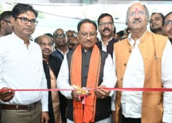 1732444936 aacc4c407640522a3c5c 250x179.jpg