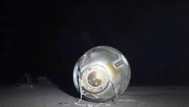 5afiej3g large 625x300 04 November 24.jpg