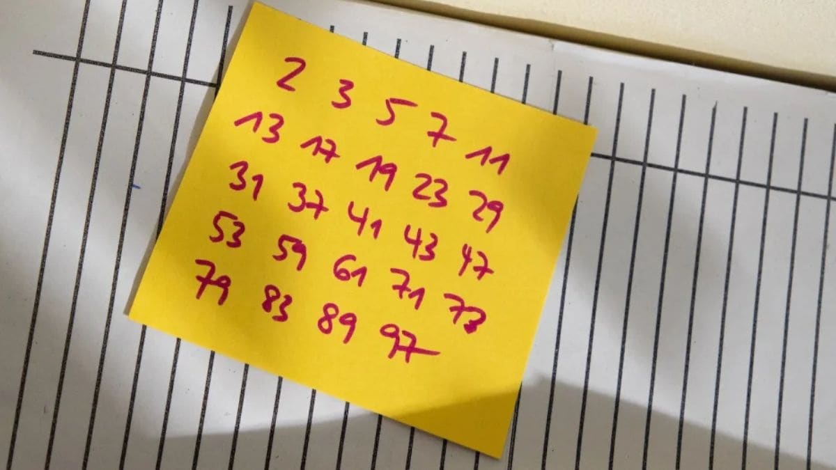 L1onk7bg large 625x300 06 November 24.jpg