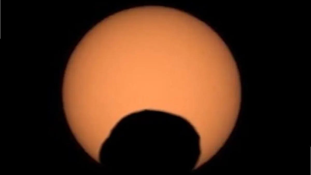 N241ngn8 googly eye 625x300 02 November 24.jpg