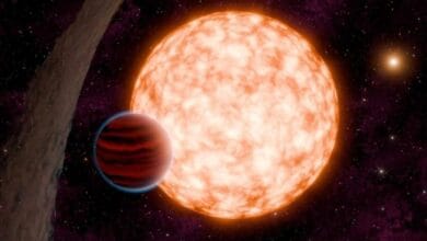 Nial3858 large 625x300 29 November 24.jpg