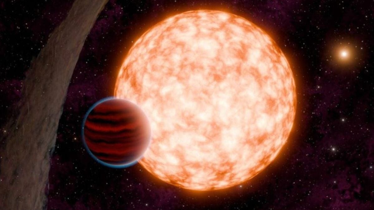 Nial3858 large 625x300 29 November 24.jpg