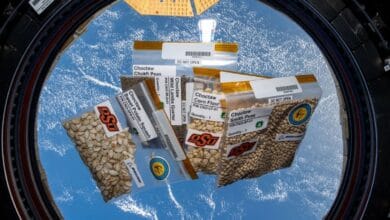 T2estdno large 625x300 18 November 24.jpg