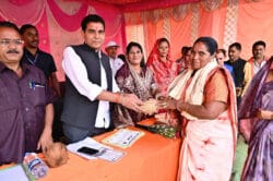 1733478744 1d2b72e433617556cc11 250x166.jpeg