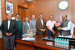 1734352807 bab1a6daa38379f76307 250x167.jpg