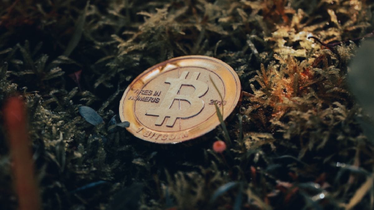 Bitcoin crypto market unsplash raphael wild large 1653635664008.jpg