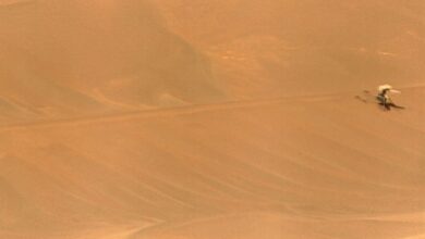 J13lb988 large 625x300 12 December 24.jpg