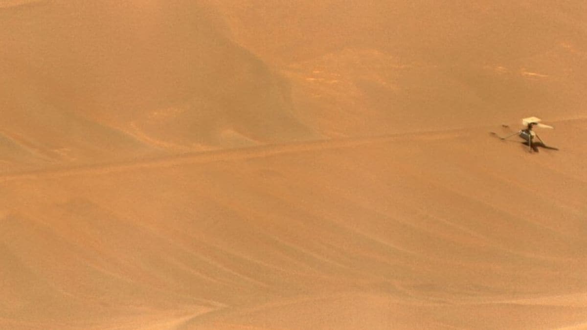 J13lb988 large 625x300 12 December 24.jpg