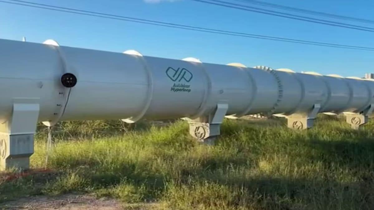 Lbmoeh2 large 625x300 06 December 24.jpg