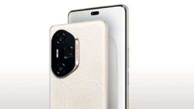 N5ahp4e large 625x300 03 December 24.jpg