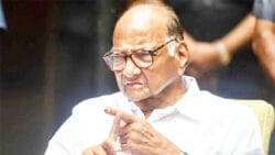 Sharadpawar 2 250x141.jpg
