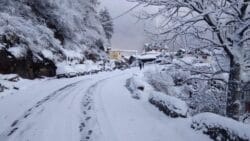 Snowfall 3 250x141.jpeg