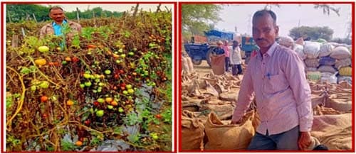 परिवार की आर्थिक स्तर को ऊंचा उठाने में सहायक रही कृषक उन्नति योजना (1)