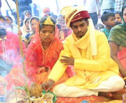 1736860979 3fdec589cfb9ed232c98 250x206.jpg