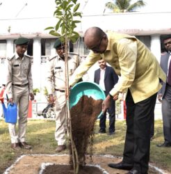 1738239683 eca534045a84395c55d8 246x250.jpeg