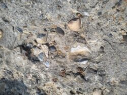 IMG 20250113 WA0023 250x188.jpg