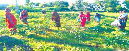 स्व सहायता समूह की महिलाओं ने पकड़ी आत्मनिर्भर बनने की नई राह