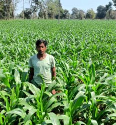 1738770301 962cfb1dccc43d23ecf4 231x250.jpeg