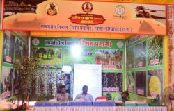 1740148695 173040157262c3ba345a 250x160.jpeg