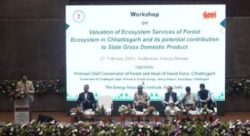 1740155924 a8b270d45b1b4b4fb1f2 250x136.jpeg