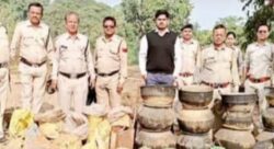 21 18 1 250x136.jpeg