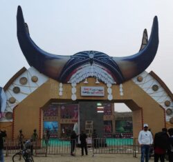 IMG 20250227 WA0094 250x235.jpg