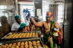 Tirupati prasadam adulteration scam 250x167.jpg